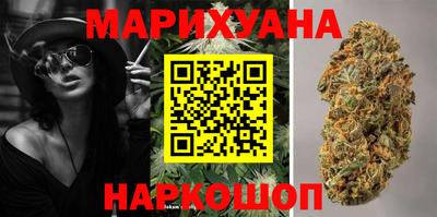 сатива Братск