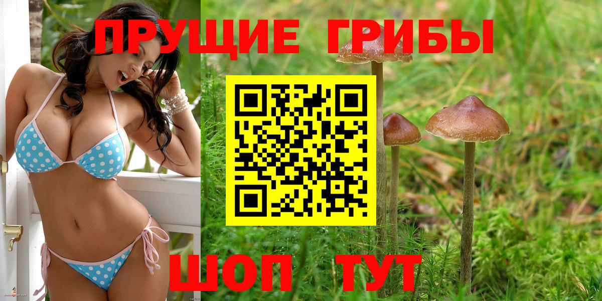 Псилоцибиновые грибы мухоморы  Вход с VPN  Гудермес 